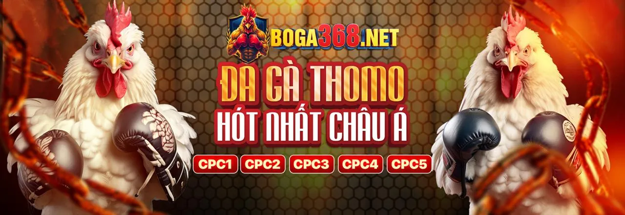 Sân vận động rực rỡ với các hoạt động cá cược thể thao u8887